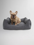 Afbeelding geladen in Galerij-viewer, Luxury Hondenmand Billy Boucle Antraciet dog bed with a dog sitting, made of soft boucle fabric for comfort and stain resistance.
