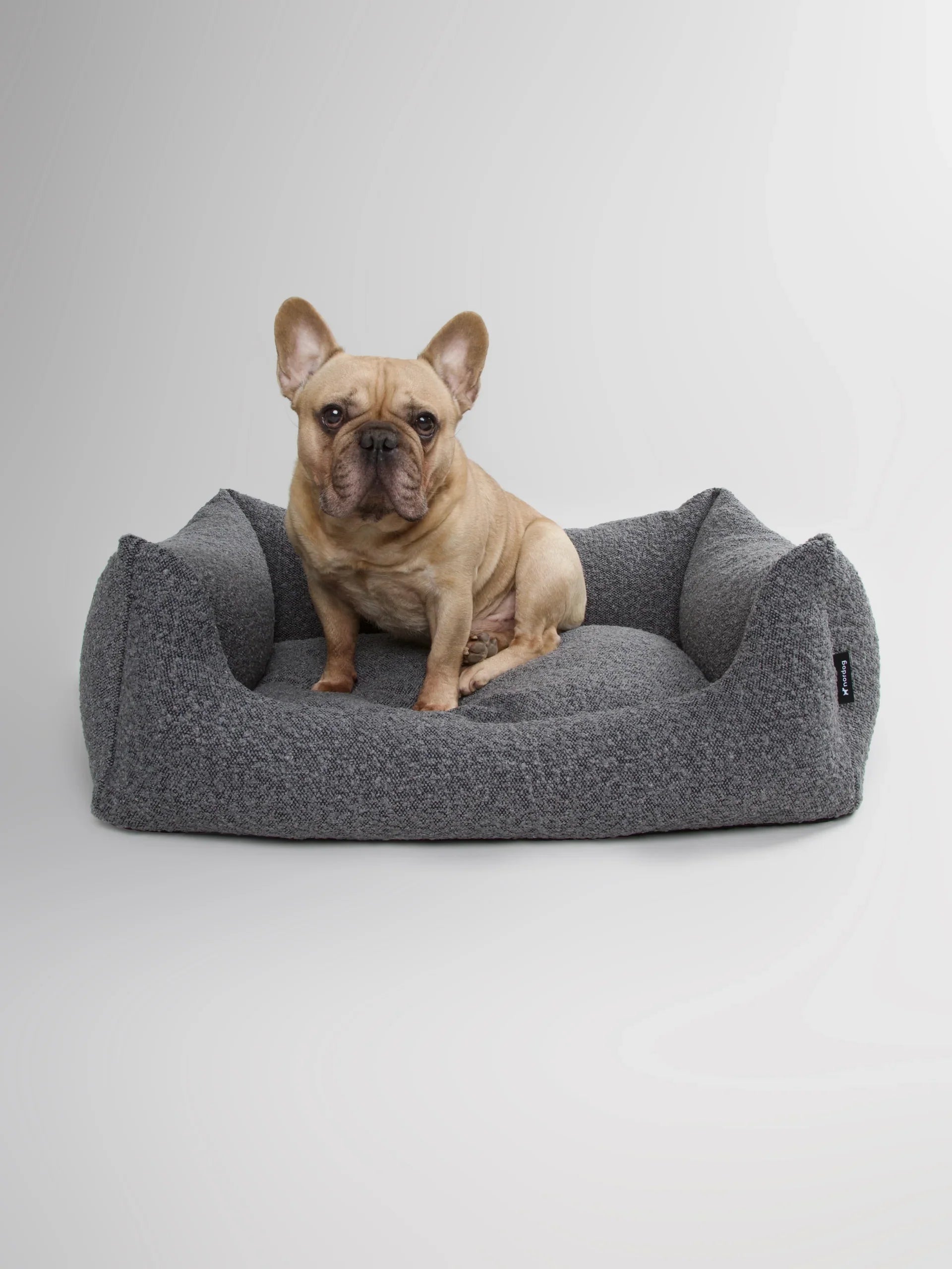 Luxury Hondenmand Billy Boucle Antraciet dog bed with a dog sitting, made of soft boucle fabric for comfort and stain resistance.