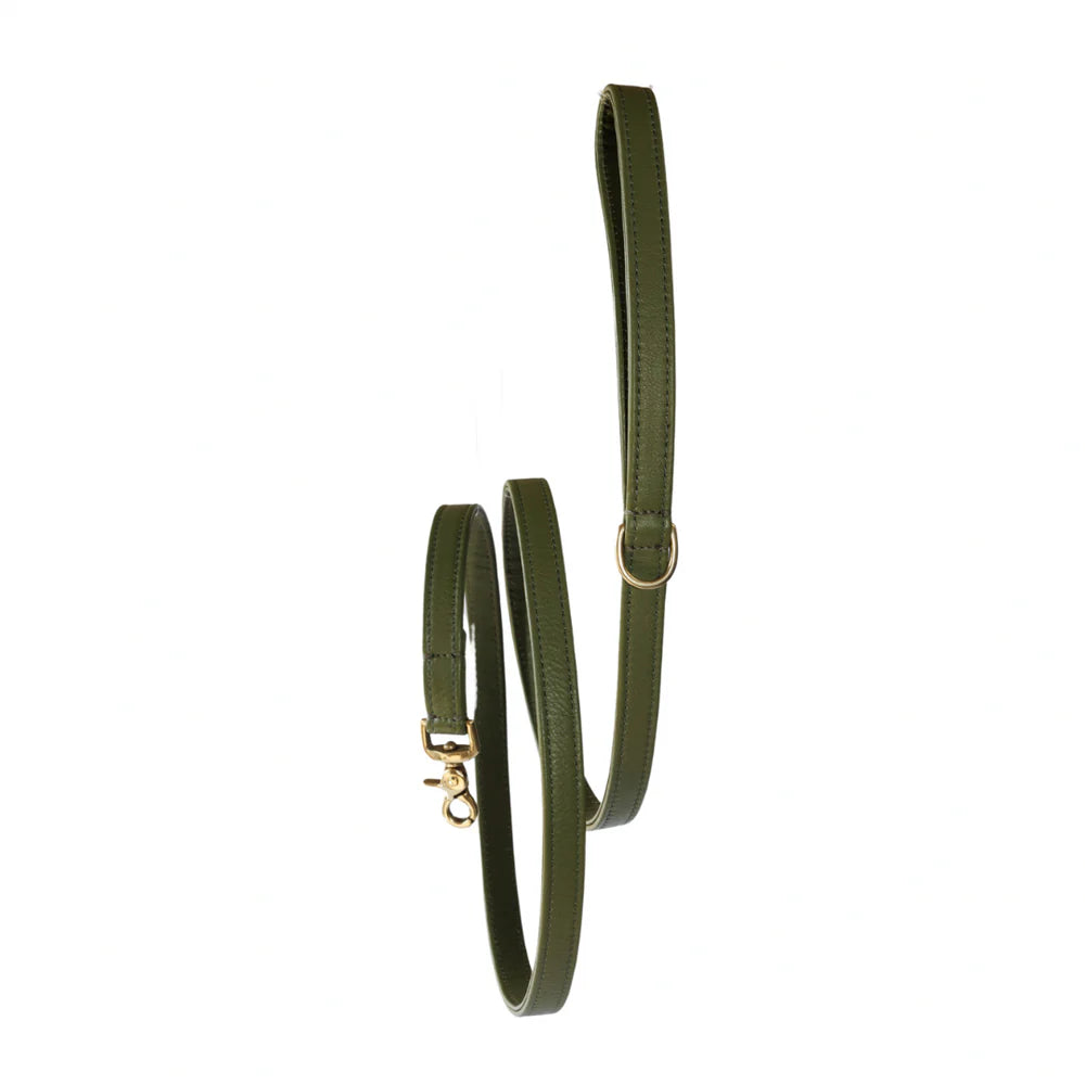 Luxurious green leather dog leash with chic brass accents, 170 cm length.