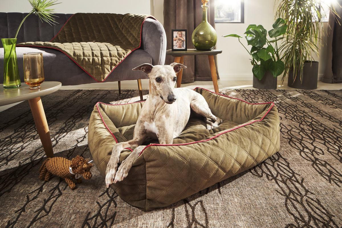 Klassieke hondenbed - OXFORDHet KLASSIEK Hondenbed - OXFORD biedt hoog slaapcomfort met een elegant design van zachte fluweel. Het bed is zeer robuust en gemakkelijk te onderhouden. Het heeft eLABONIwafwafKlassieke hondenbed - OXFORD