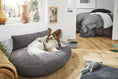 Afbeelding geladen in Galerij-viewer, LUNA LOUNGESET TUDORDe LUNA loungekussens van LABONI zijn comfortabel, passen in elke inrichtingsstijl en zorgen voor maximaal comfort voor jouw hond. De bekleding is zacht, vuil- en waLABONIwafwafLUNA LOUNGESET TUDOR
