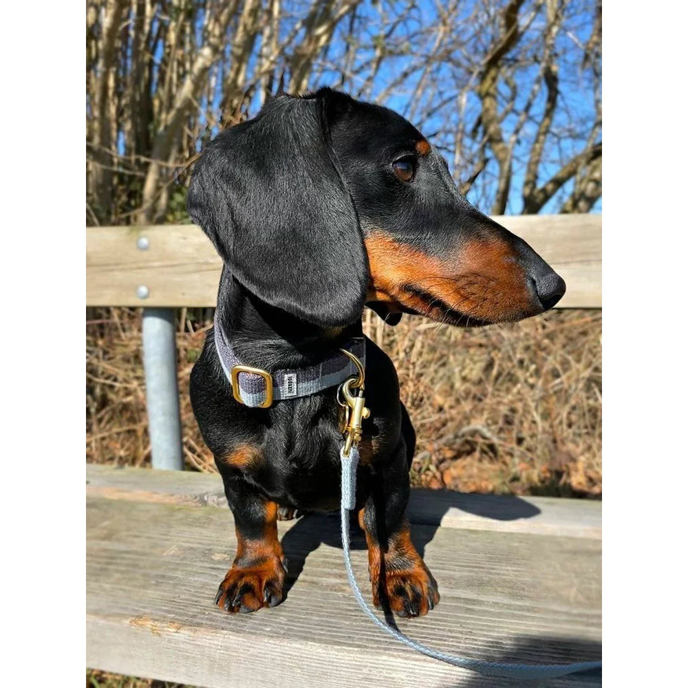 Halsband Faded Blauw/Warm GrijsEenvoudige elegantie met een sportief tintje. Gemaakt van tweekleurig geweven katoen, vuilafstotend. De gespen in mat imitatiegoud geven de halsband een elegante uitSaleTadazhiwafwafHalsband Faded Blauw/Warm Grijs