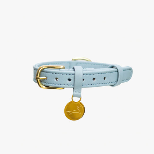 Light blue luxury leather dog collar with gold accents.