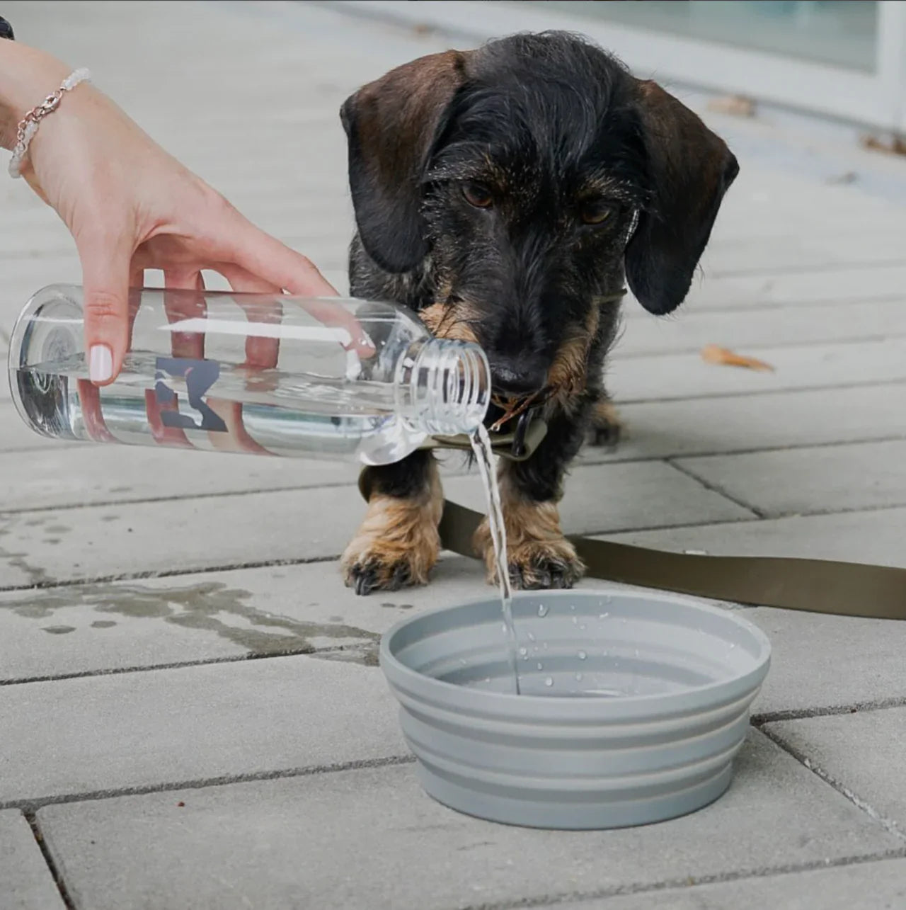 Honden reiskom Piega en Bottiglia waterfles