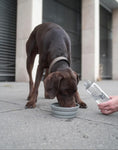 Afbeelding geladen in Galerij-viewer, Honden reiskom Piega en Bottiglia waterfles
