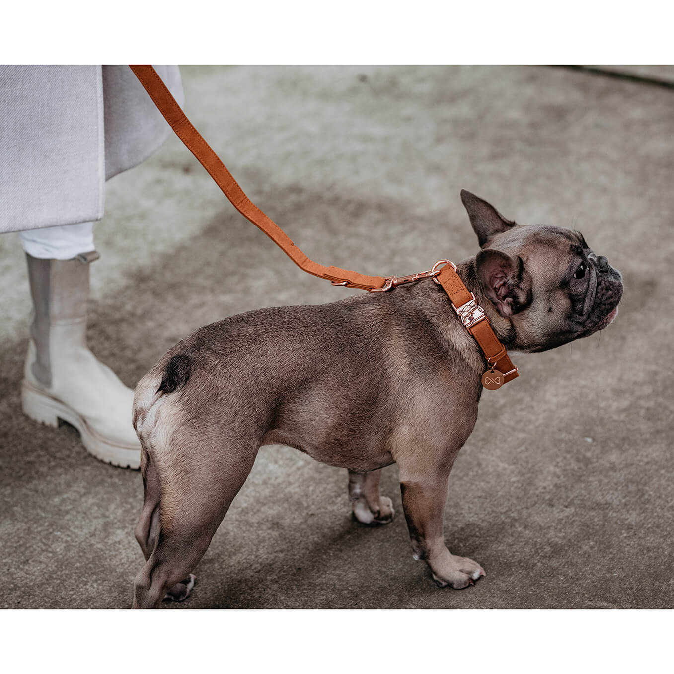 Hondenriem CognacDe hondenriem Cognac van DOGA is een luxe accessoire voor je hond. Gemaakt van hoogwaardig vegan suède leer, heeft deze riem een ​​trendy leerlook. De cognac kleur eDogawafwafHondenriem Cognac