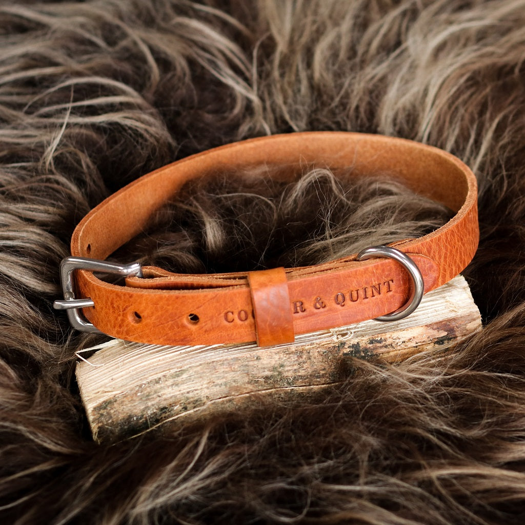 No Fuss Halsband Hond Leer Camel - Cooper & Quint