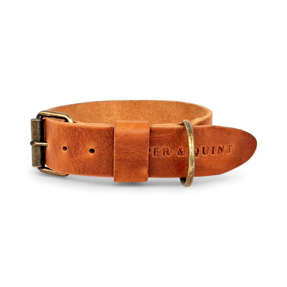 Brede Leren Halsband | Bold Camel - Cooper & Quint