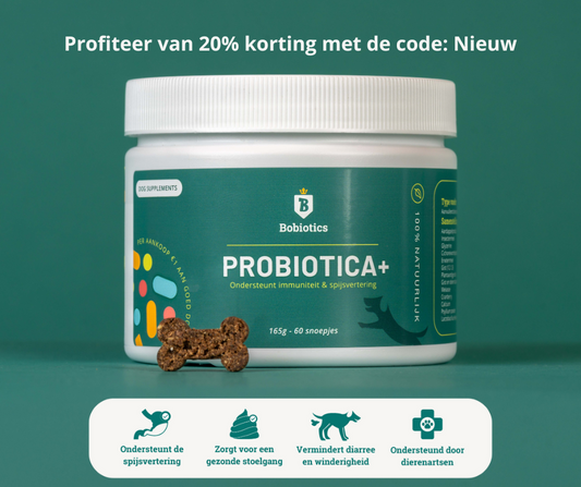 Probiotica+  immuniteit en spijsvertering