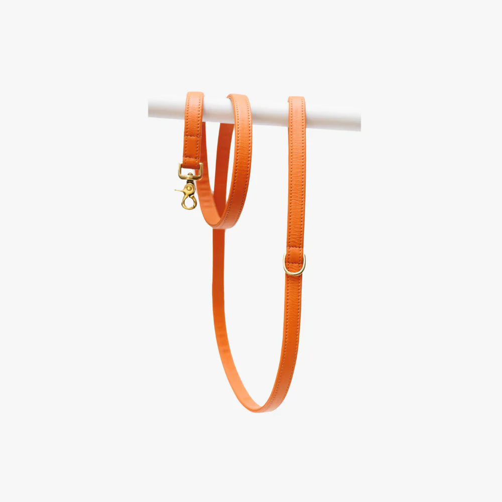 Luxurious orange leather dog leash with gold hardware hanging on rod.