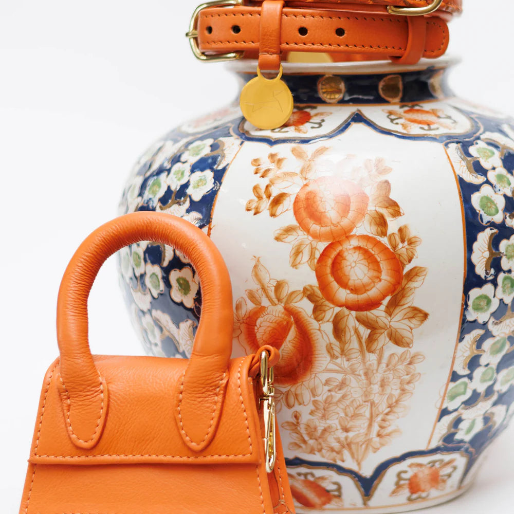 Oranje Designer tas voor hondenkoekjes en poepzakken.