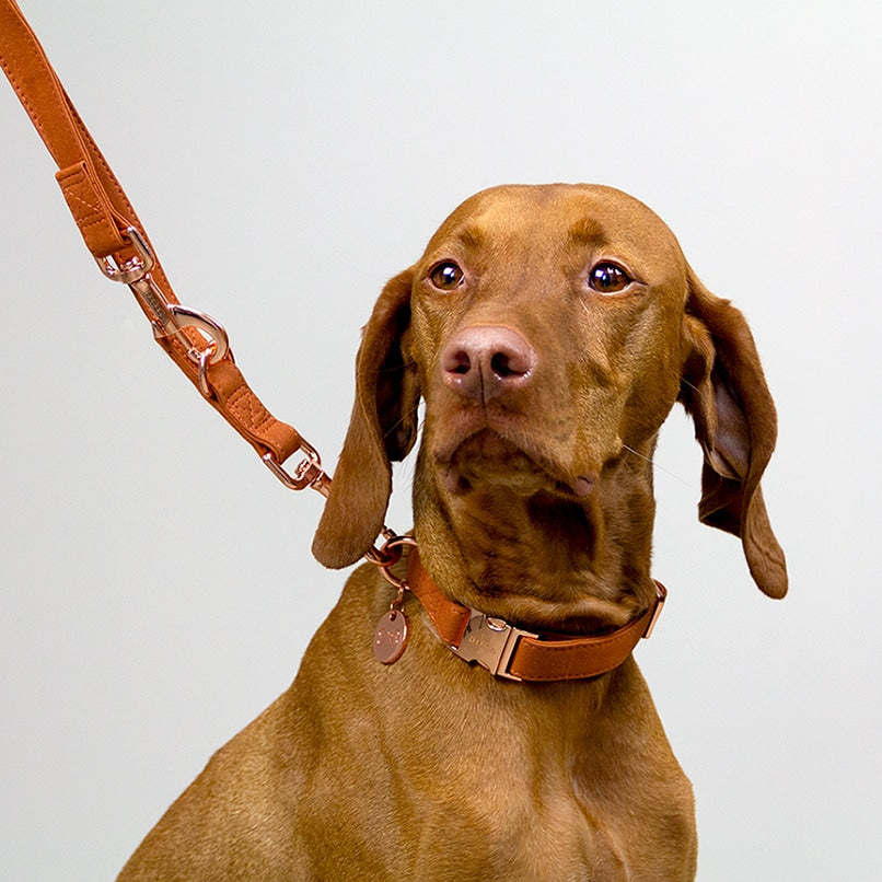 Hondenriem CognacDe hondenriem Cognac van DOGA is een luxe accessoire voor je hond. Gemaakt van hoogwaardig vegan suède leer, heeft deze riem een ​​trendy leerlook. De cognac kleur eDogawafwafHondenriem Cognac