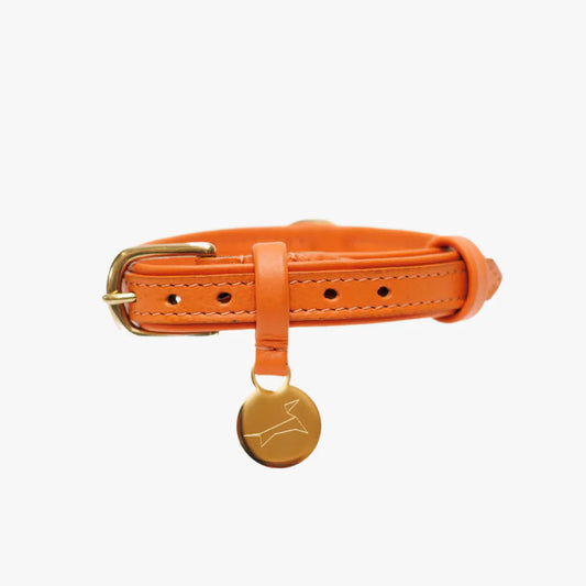 Hondenhalsband van oranje luxe leer met gouden accenten.