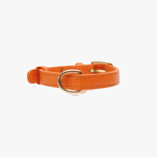 Hondenhalsband Oranje luxe leer