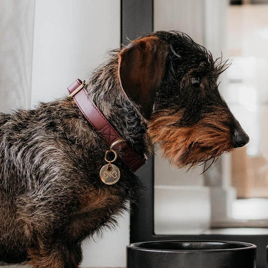 Hondenhalsband Bordeaux Rood met goudDe DOGA Hondenhalsband Bordeaux Rood met goud is een luxe en opvallende keuze voor je hond. Gemaakt van hoogwaardig vegan leer, is deze halsband zowel duurzaam als dDogawafwafHondenhalsband Bordeaux Rood met goud