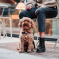 Afbeelding geladen in Galerij-viewer, Hondentuigje bordeaux roodHet DOGA Hondentuigje in bordeaux rood is een stijlvol en trendy accessoire voor jouw hond. Het tuigje is gemaakt van duurzaam vegan leer en heeft luxe gouden sluitiDogawafwafHondentuigje bordeaux rood
