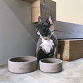 Afbeelding laden in Galerij-viewer, Hondenvoerbak Beton
De Beton DOGA hondenvoerbak, is vervaardigd uit volledig keramiek en wordt gekenmerkt door het DOGA logo op de voorkant. Het moderne en strakke ontwerp maakt dat deDogawafwafHondenvoerbak Beton
