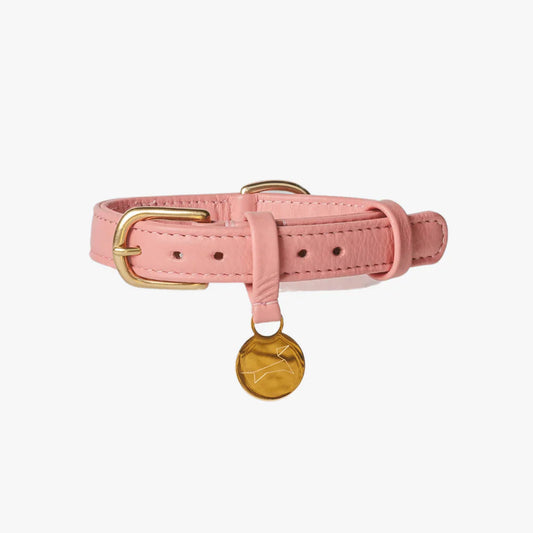 Luxury pink leather dog collar with gold accents.