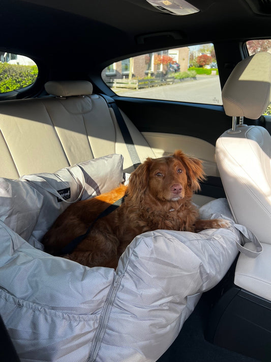 Beige XL Automand with dog on car backseat, water-repellent and secure.