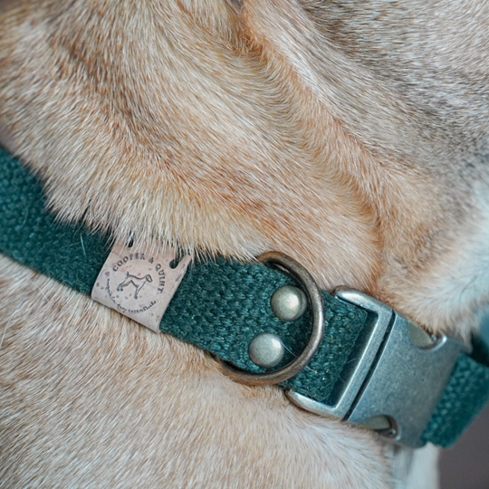 Halsband Simply Hemp Bosgroen met stevige metalen sluiting en duurzaam henneptouw.