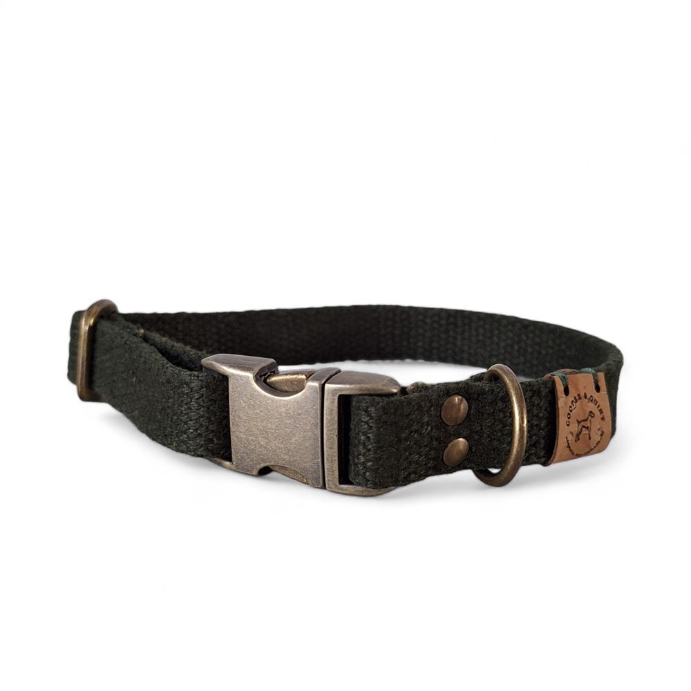 Hemp dog collar in forest green with metal hardware and clip.