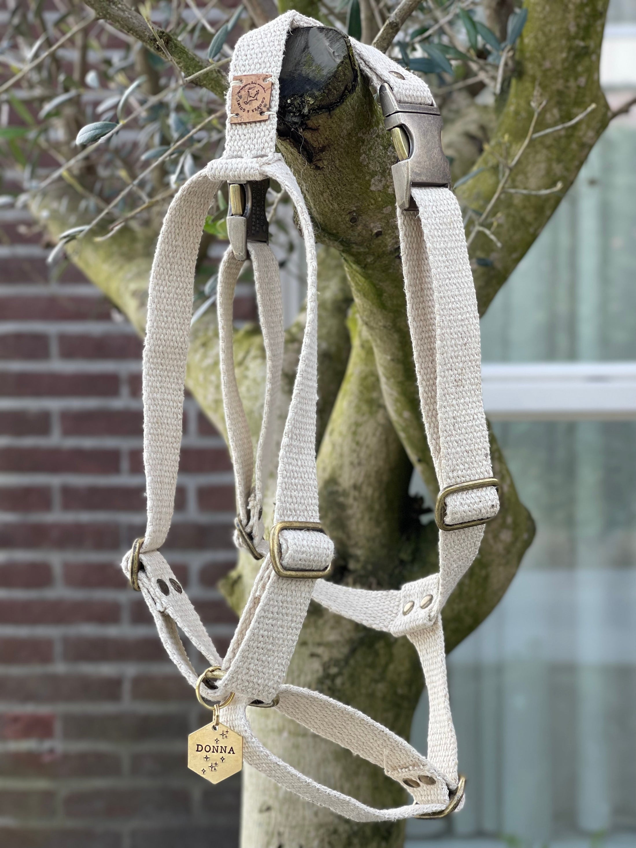 Hemp dog harness in shell white on tree background, eco-friendly and vegan.