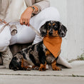 Afbeelding laden in Galerij-viewer, Honden bandana Cably Cognac
De luxe honden bandana Cably Cognac van DOGA is een stijlvol en trendy accessoire om je hond een extra persoonlijkheid en uitstraling te geven. Honden bandana's zijDogawafwafHonden bandana Cably Cognac
