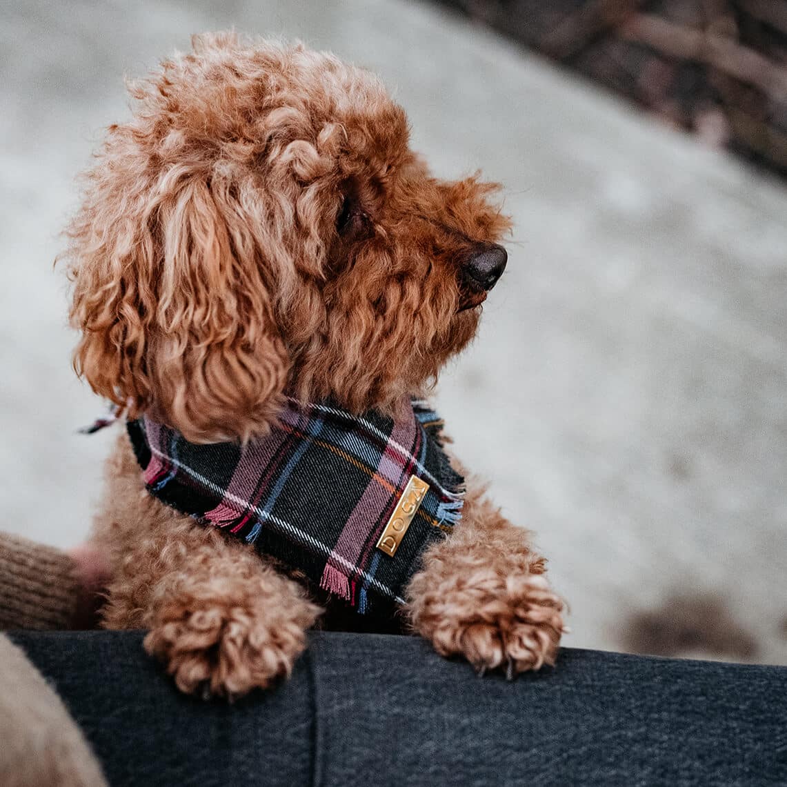 Honden Bandana Purple Tartan