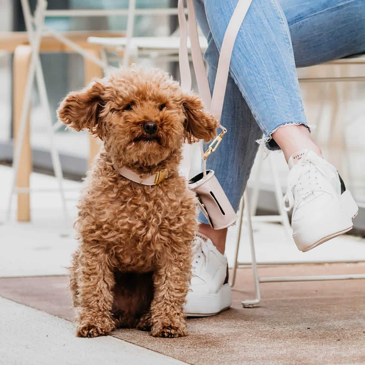 Hondenhalsband Taupe met goud
 DOGA hondenhalsband in Taupe met goud is een luxe en opvallend accessoire voor je hond. Deze halsband is niet alleen stijlvol, maar ook duurzaam en diervriendelijkDogawafwafHondenhalsband Taupe met goud