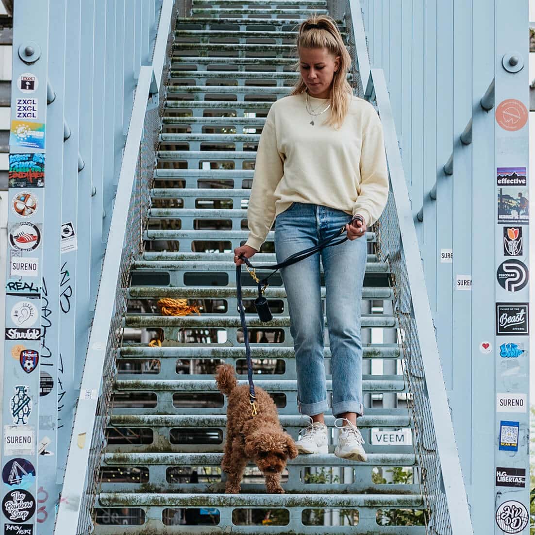 Hondenriem Royal Blue
Op zoek naar een elegante en exclusieve hondenriem of -lijn voor je hond? De DOGA Royal Blue hondenriemen zijn zowel luxe als trendy. Deze riem is gemaakt van veganDogawafwafHondenriem Royal Blue