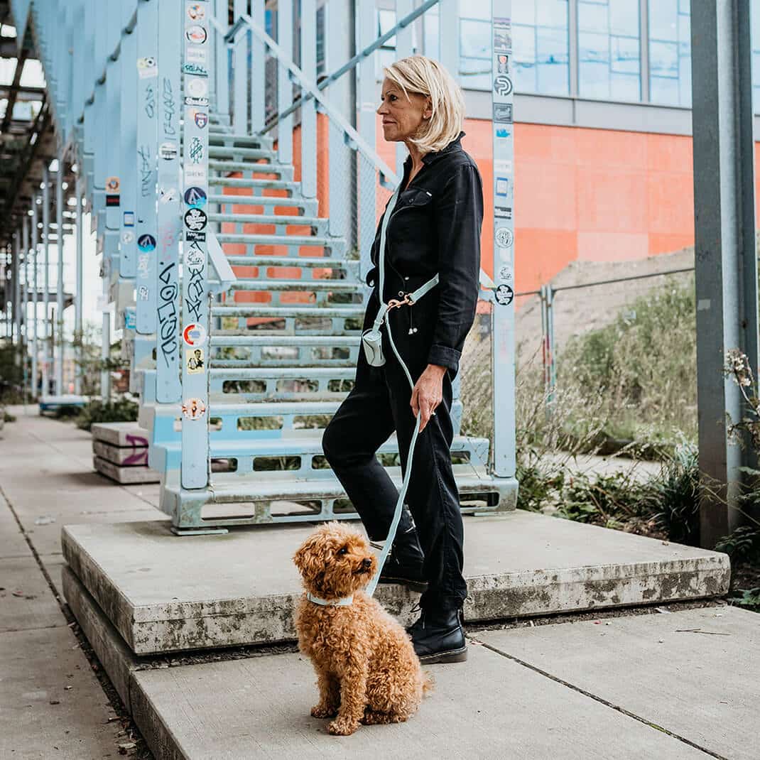 Honden poepzakhouder Mintgroen met rosé goud
De praktische en stijlvolle Mintgroene honden poepzakhouder met rosé goud is een ontwerp van het lifestyle merk DOGA. De poepzakhouder bevat een uitlaat zakje waariDogawafwafHonden poepzakhouder Mintgroen met rosé goud