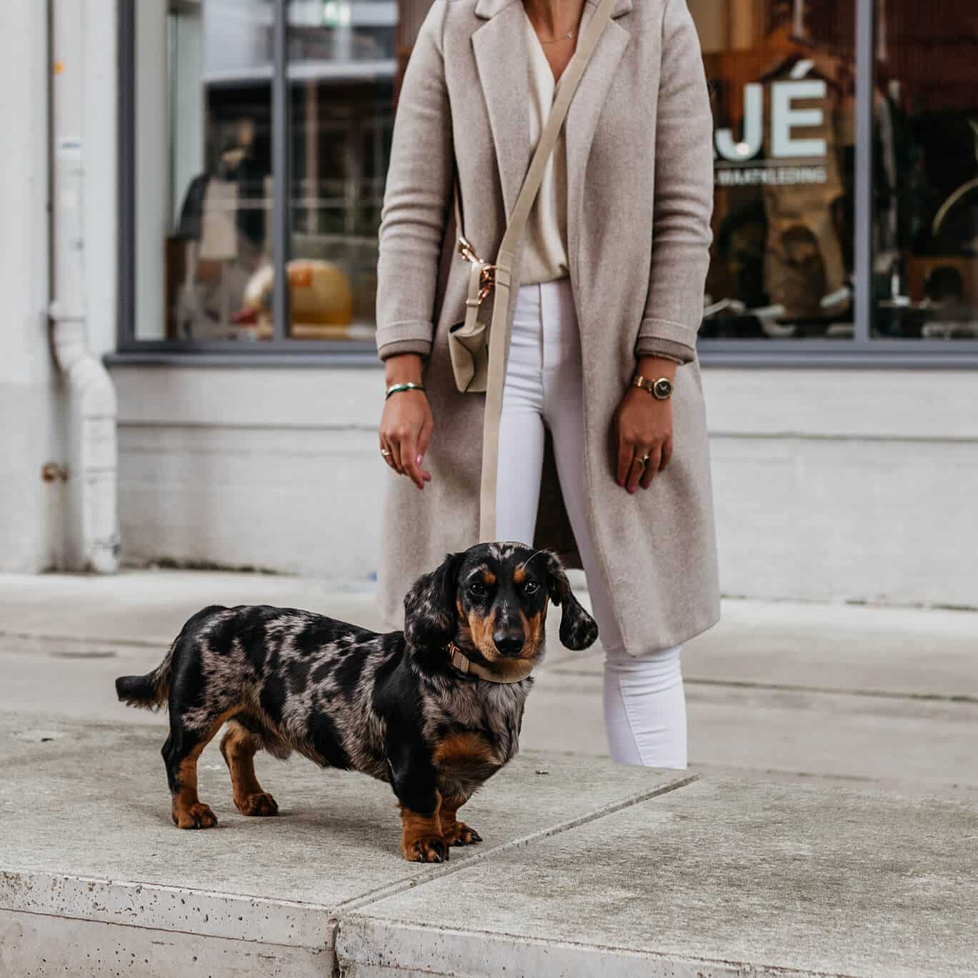 Honden poepzakhouder Steengrijs met rosé goudDe Steengrijze poepzakhouder met rosé gouden details is gemaakt van vegan suède leer en ontworpen door het merk DOGA. Het biedt de mogelijkheid om poepzakjes op te bDogawafwafHonden poepzakhouder Steengrijs met rosé goud