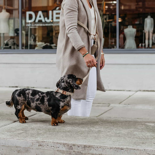 Hondenhalsband Steengrijs met Rosé goud
Ben je op zoek naar een mooie halsband voor je hond? De DOGA hondenhalsband in steengrijs met rosé goud is luxueus en trendy. Deze halsband is gemaakt van vegan suèDogawafwafHondenhalsband Steengrijs met Rosé goud