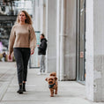 Afbeelding geladen in Galerij-viewer, Honden bandana Mossy Tartan
