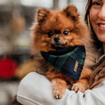 Afbeelding geladen in Galerij-viewer, Honden bandana Mossy Tartan
