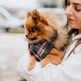 Afbeelding geladen in Galerij-viewer, Honden Bandana Purple Tartan
