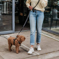 Afbeelding geladen in Galerij-viewer, Honden poepzakhouder Gun Zwart
Ben je op zoek naar een elegante en praktische poepzakhouder voor honden? De zwarte Honden poepzakhouder van DOGA is precies wat je nodig hebt. Deze stijlvolle houdDogawafwafHonden poepzakhouder Gun Zwart
