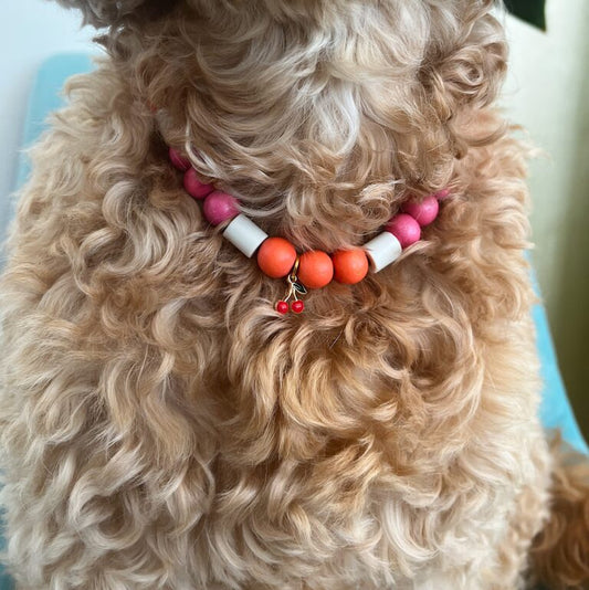 Anti-tekenband roze & oranje
Deze anti-tekenband ziet er niet alleen uit als een anti-tekenband voor een hond, maar het is ook een sieraad voor de hond. Kies je eigen bedel om jouw hond in een studio proudwafwafAnti-tekenband roze & oranje