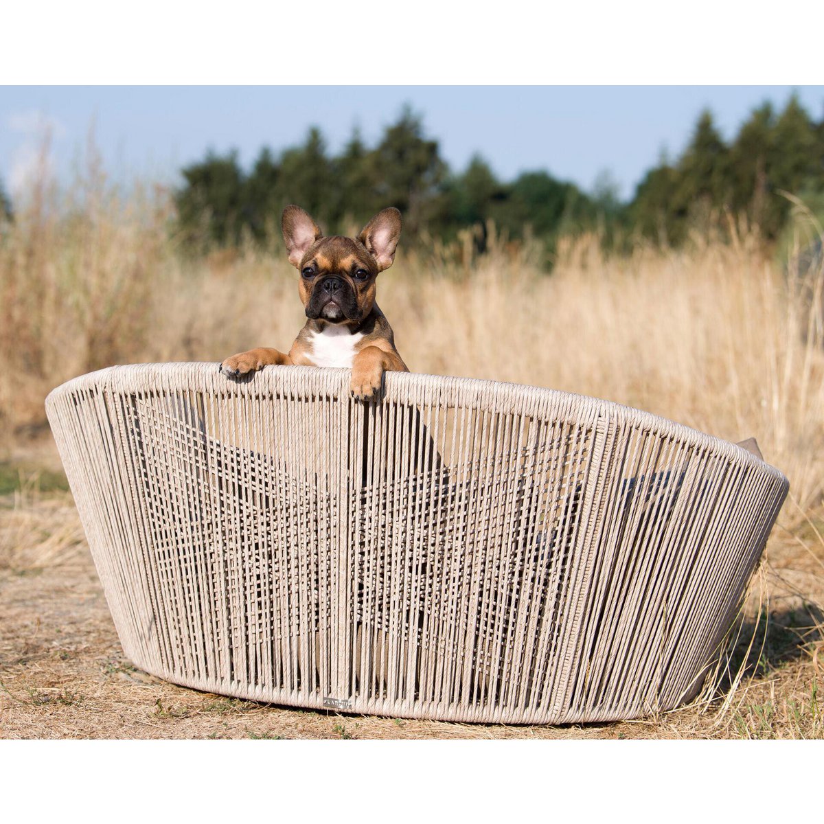 VOGUE Design hondenmand - Collectie TUDOR
Het hondenbed VOGUE van LABONI is een van de meest stijlvolle en comfortabele bedden die er zijn. Het is ontworpen met oog voor vakmanschap, doordacht design en hooLABONIwafwafVOGUE Design hondenmand - Collectie TUDOR