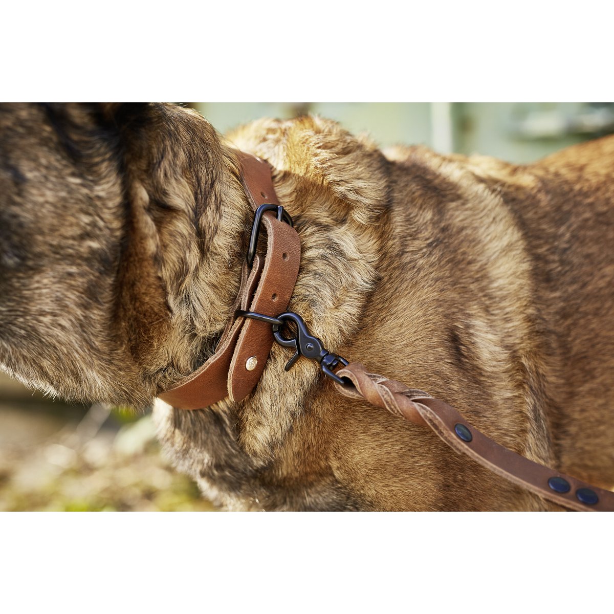 GIRO Hondenriem MokkaDe GIRO-collectie is gemaakt van zacht leer met een stevige grip. Het gebruik van Duitse rundleder zorgt ervoor dat de producten in de loop der tijd een unieke patinLABONIwafwafGIRO Hondenriem Mokka