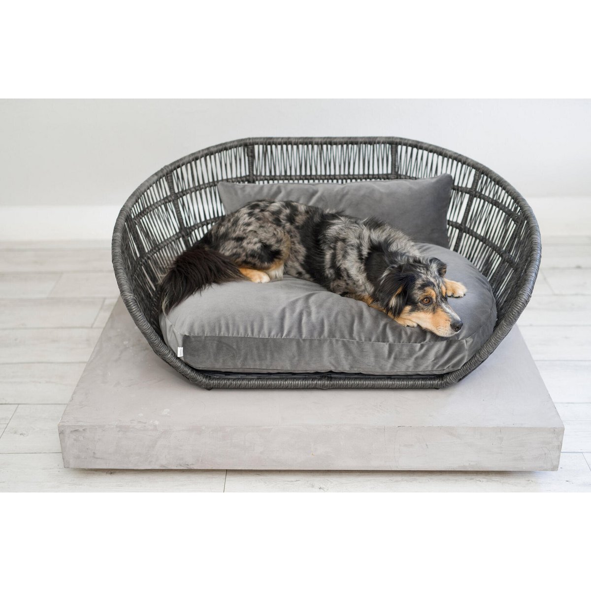 PRADO Design hondenmand - Collectie OXFORDHet bekroonde hondenbed PRADO combineert traditioneel vakmanschap met comfort en stijl. Het is zowel binnen als buiten een trendy designobject voor moderne hondenhuiLABONIwafwafPRADO Design hondenmand - Collectie OXFORD