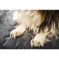 Afbeelding laden in Galerij-viewer, PRADO - TUDOR design hondenmandHet PRADO hondenbed van LABONI is een bekroond, stijlvol en comfortabel bed voor honden. Het heeft een klassieke framestructuur en een duurzame bekleding. De matras LABONIwafwafPRADO - TUDOR design hondenmand
