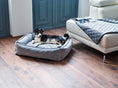Afbeelding laden in Galerij-viewer, Klassieke hondenbed - OXFORDHet KLASSIEK Hondenbed - OXFORD biedt hoog slaapcomfort met een elegant design van zachte fluweel. Het bed is zeer robuust en gemakkelijk te onderhouden. Het heeft eLABONIwafwafKlassieke hondenbed - OXFORD
