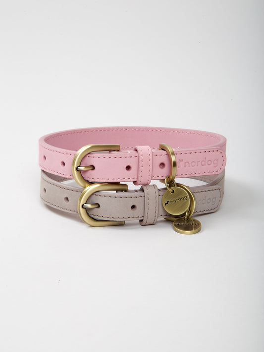 Thomas Dog Collar Ash