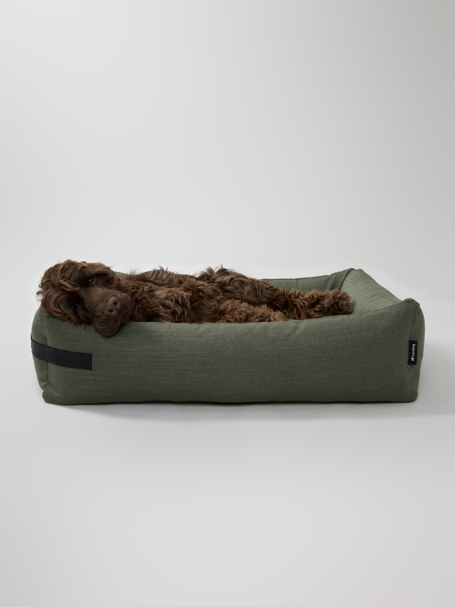 Green eco-friendly dog bed from Hygge collection with a comfortable design featuring a brown dog lying down.