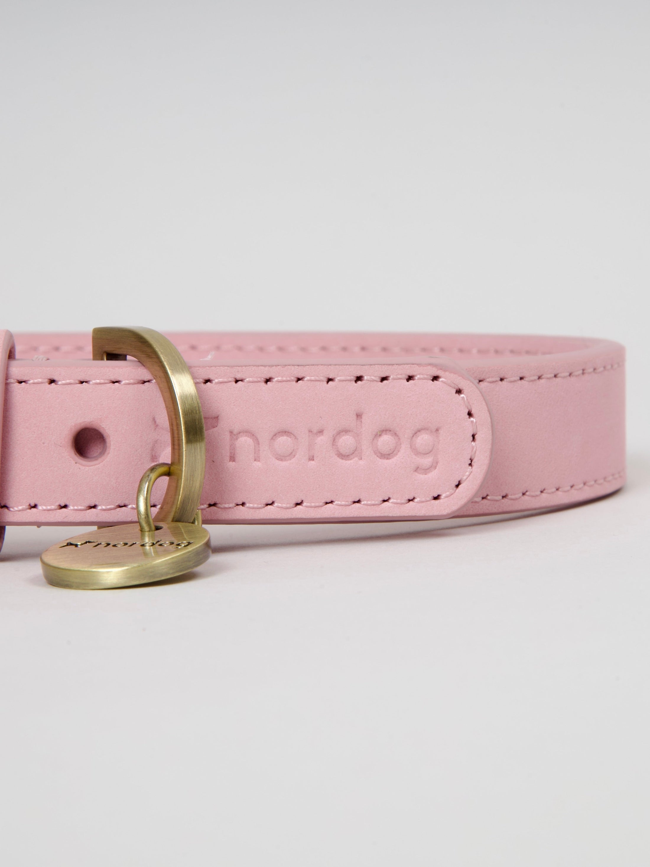 Thomas Dog Collar Candyfloss