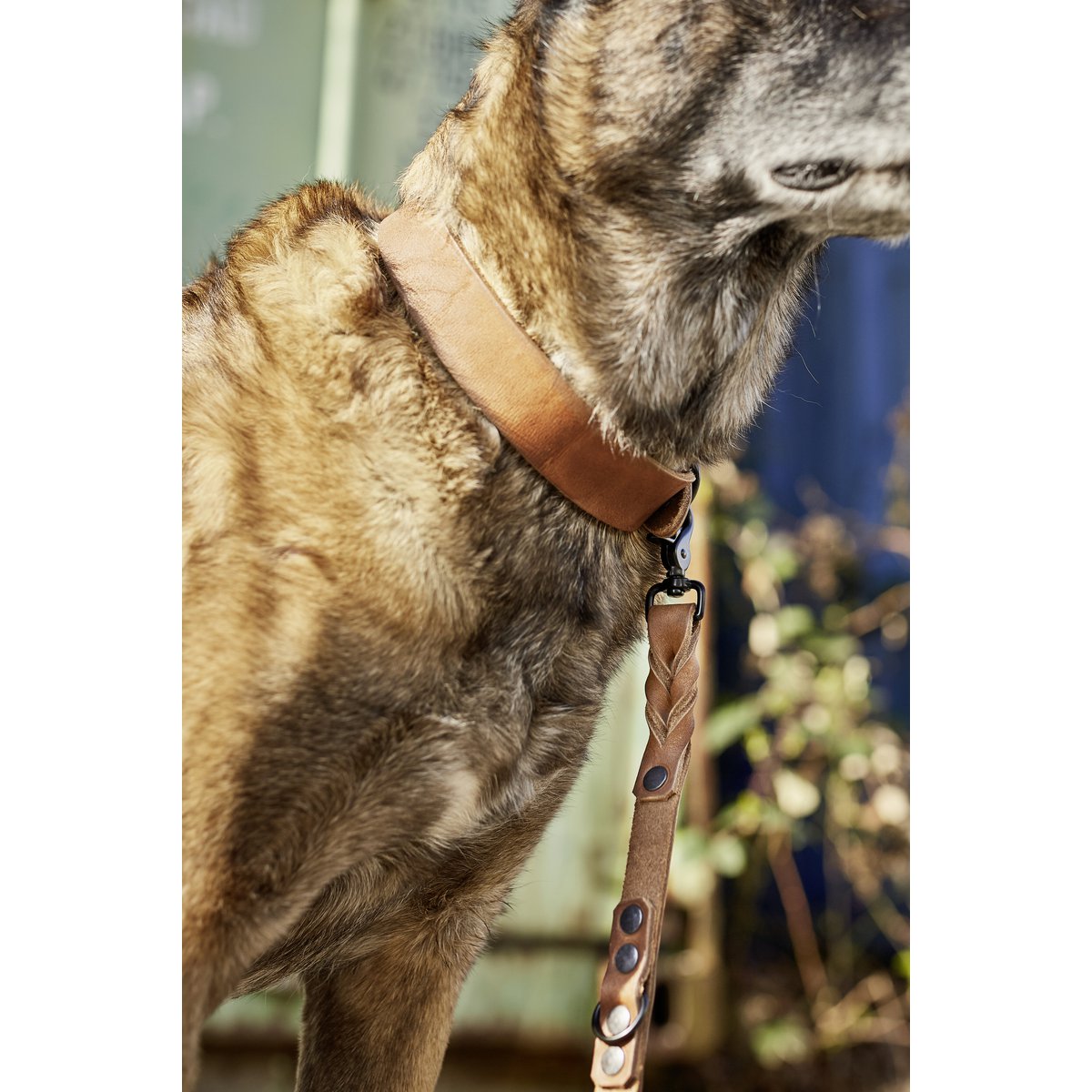GIRO Hondenriem MokkaDe GIRO-collectie is gemaakt van zacht leer met een stevige grip. Het gebruik van Duitse rundleder zorgt ervoor dat de producten in de loop der tijd een unieke patinLABONIwafwafGIRO Hondenriem Mokka