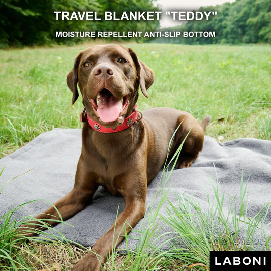 Universele deken - TEDDYDe veelzijdige TEDDY-dekens zijn een must-have voor hondenbezitters. Ze bieden een trendy, wollige bouclé bovenkant en een exclusief hightech-materiaal aan de onderkLABONIwafwafUniversele deken - TEDDY