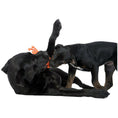 Afbeelding laden in Galerij-viewer, Kristof Krabbe Touwspeeltje - Hond Oranje 15x12x5 cm
