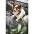 Afbeelding laden in Galerij-viewer, PRADO - TUDOR design hondenmandHet PRADO hondenbed van LABONI is een bekroond, stijlvol en comfortabel bed voor honden. Het heeft een klassieke framestructuur en een duurzame bekleding. De matras LABONIwafwafPRADO - TUDOR design hondenmand
